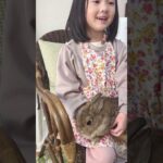 【70代おばあちゃんのシニア生活】うさぎのいいこちゃんを抱っこして喜ぶ孫🐇😄❣️