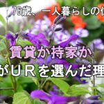 【70代を生きるNo.172】賃貸か持家か／私がＵＲ(公団団地)を選んだ理由／今日のランチ・スコーン／煮南瓜のスムージー