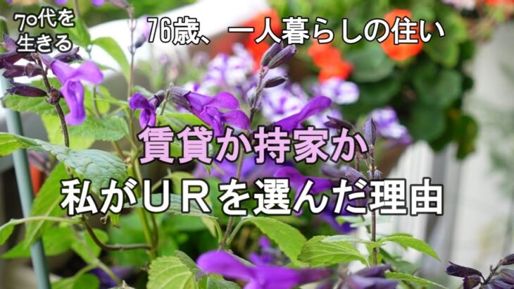 【70代を生きるNo.172】賃貸か持家か／私がＵＲ(公団団地)を選んだ理由／今日のランチ・スコーン／煮南瓜のスムージー