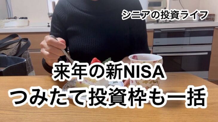 新NISAの運用状況/来年のつみたて投資枠の設定/ぼっちで楽しむクリスマス