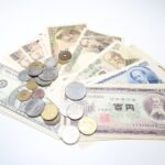 【年金支給額】シニアYouTuber番付。年金定期便ランキングぅ！【納付額】