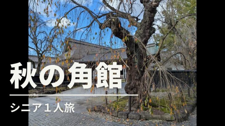 秋の東北　角館　シニア１人旅