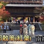 シニア生活　名古屋〜京都(紅葉) 日帰り旅