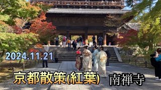 シニア生活　名古屋〜京都(紅葉) 日帰り旅