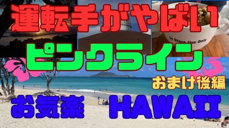 【運転手がやばい】ハワイ　シニアでも楽々旅　おまけ後編　ピンクライン　運転手熱唱　クアロアランチ　乗馬　ダイヤモンドヘッド登頂　ハワイ島　マウナケア登頂　　　シニア/シニアライフ/シニア旅/シニア夫婦