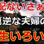 【シニアライフ】のらりくらり年金生活　なぁ～んにも心配ない！真逆な夫婦の人生いろいろ 【のらりくらり年金生活チャンネル】