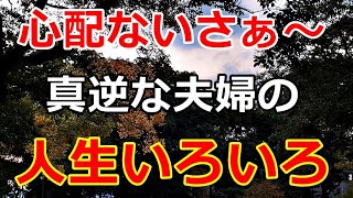 【シニアライフ】のらりくらり年金生活　なぁ～んにも心配ない！真逆な夫婦の人生いろいろ 【のらりくらり年金生活チャンネル】