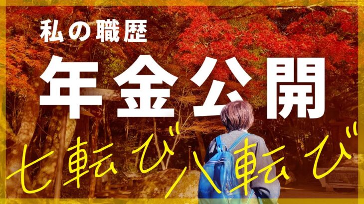 【年金予定額公開】私の職歴〜子育て、仕事の両立はつらいよ〜転び疲れました