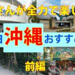 【前編】沖縄2泊3日の旅🌺絶対楽しい♪おすすめ観光！おばさんが全力で楽しむ旅🌴冬の沖縄格安旅