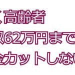 働くシニア、月収62万円まで年金カットせず　法案判明　にちゃんねるまとめ