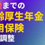 【年金】65歳までの老齢厚生年金と雇用保険との調整【社労士解説】