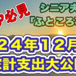 【シニア夫婦生活費公開】６５歳・６４歳シニア夫婦の１２月生活費を公開。#年金#シニア夫婦#NISA投資#ポイ活#老後生活