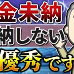 【年金未納】年金 追納が正しいのか【シニア世代】