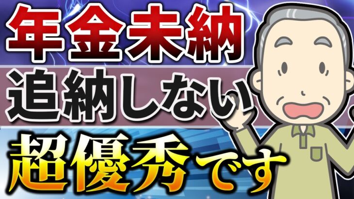 【年金未納】年金 追納が正しいのか【シニア世代】