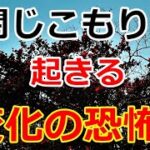 【シニアライフ】のらりくらり年金生活　恐怖！閉じこもりで起きる変化　義母とのその後 【のらりくらり年金生活チャンネル】