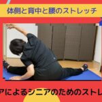 【シニアによるシニアの為の体操】あずきと一緒に健康体を目指しましょう！今回は「体側と背中と腰のストレッチ」です。