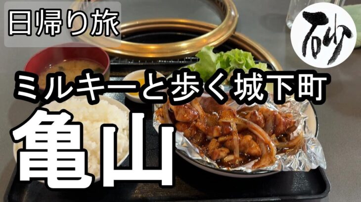 【ナイスなシニアの日帰り旅＠亀山】三重県亀山市（2025年02月14日）