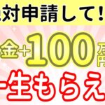 【2025年4月から】生涯で年金に+100万円以上上乗せ！増額された年金生活者支援給付金の給付条件と最新の申請方法【障害年金・遺族年金】