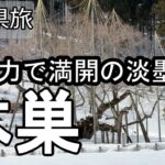 【ナイスなシニアのぎふ県旅＠本巣#2】岐阜県本巣市（2025年02月21日）