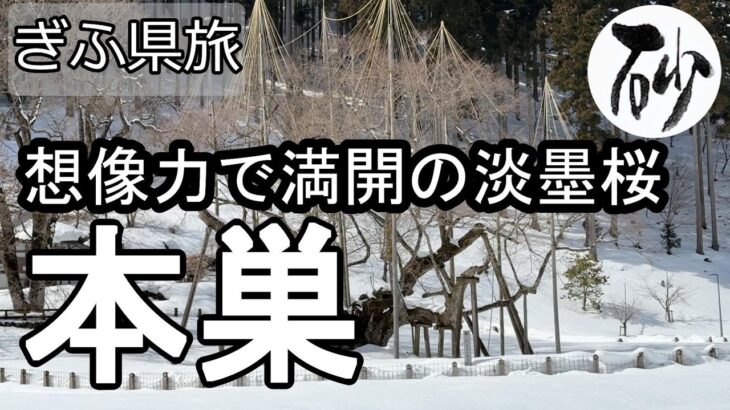 【ナイスなシニアのぎふ県旅＠本巣#2】岐阜県本巣市（2025年02月21日）