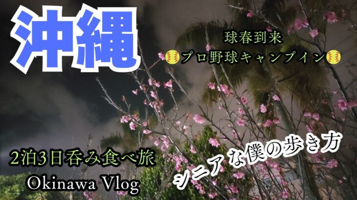 【沖縄食べ歩き】2泊3日ブラ散歩シニア旅！　沖縄の夜は充実！！　プロ野球のキャンプも観れて最高！！！