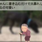 パックン　年金納付引き上げ案への国民反応に驚き「アメリカだったら大きな反発、フランスなら…」【2ch有益・シニア年金】