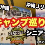 沖縄キャンプ巡り、プロ野球、Jリーグサッカー，＃シニア一人旅，＃シニアルーティーン