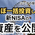 新NISAインデックス投資の運用状況/下げ相場は寝て待つ/大きな観覧車を貸し切り