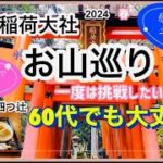 【伏見稲荷大社・お山巡り】《初めて登る人は必見》シニアでも大丈夫！