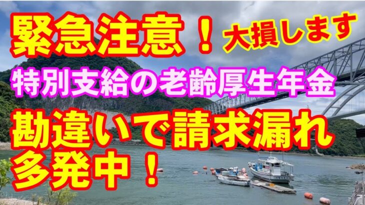 【特別支給の老齢厚生年金】シニアオーナーさん必見！勘違いで大損します！請求漏れ事例の紹介です！#特別支給の老齢厚生年金　#老齢厚生年金　＃年金請求漏れ　#年金受給　#年金請求