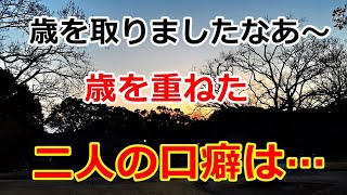 【シニアライフ】のらりくらり年金生活　大雑把な鍋料理！歳を重ねた二人の口癖は…【のらりくらり年金生活チャンネル】