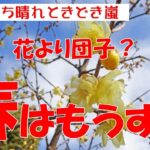 【春はもうすぐかな?】シニアライフ　夫婦年金生活　お一人様は妻の憧れ