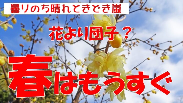 【春はもうすぐかな?】シニアライフ　夫婦年金生活　お一人様は妻の憧れ