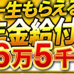 【給付金】年金受給者むけ給付金 増額【生活支援給付金】一律給付金｜シニア世代 申請して