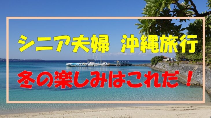 シニア夫婦【沖縄旅行】冬の楽しみはこれだ！　他にも旅の楽しみや豪華ホテルの食事も紹介します。