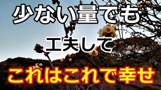 【シニアライフ】のらりくらり年金生活　これはこれで幸せ！少ない量のササミ料理   【のらりくらり年金生活チャンネル】