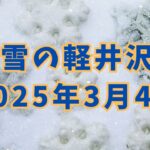 雪の軽井沢、2025年3月4日＜冬の軽井沢は美しい＞