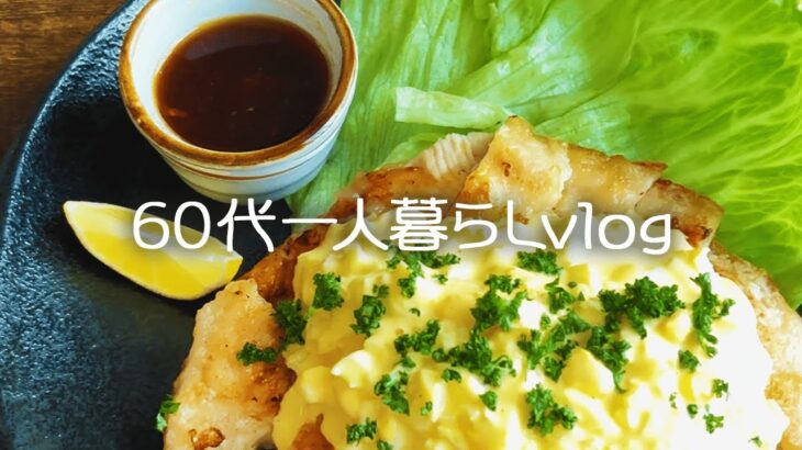 【あなたの年金はいくら？】 一人暮らしの食費を抑える鶏むね料理レシピ【シニア節約生活】#240