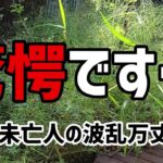 【60代一人暮らし】驚愕です…【シニアVlog】
