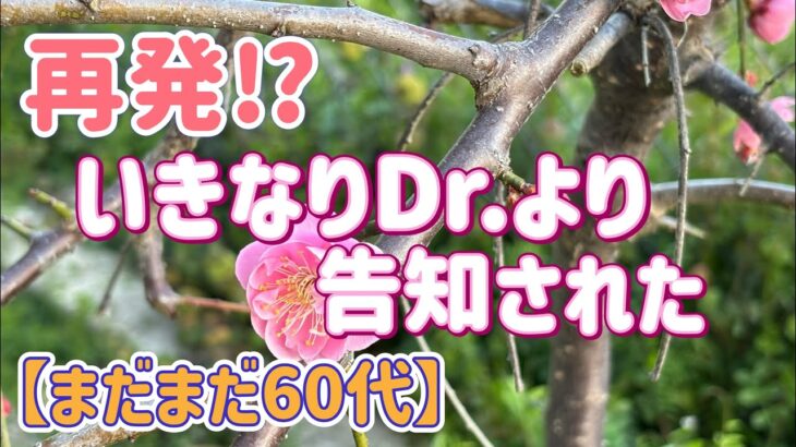 【シニア一人暮らし(80)】分け隔てなく治療を受けられるようにならないかな