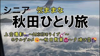 [ひとり旅]秋田へ飛行機で一泊二日の旅に出かけました。AKIHIDEライブ、きりたんぽ他秋田料理、観光を満喫。ナマハゲはよくお見かけしましたよ＃推し活＃シニア#akihide#竿燈祭り#60代vlog