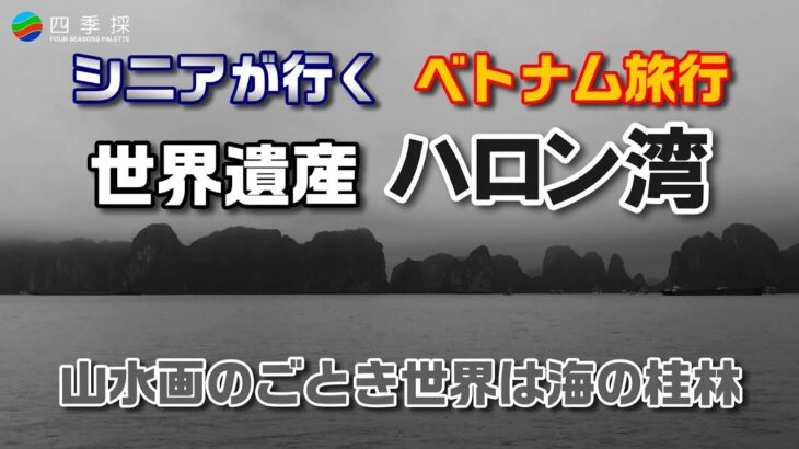 世界遺産のハロン湾クルーズ｜シニアが行くベトナム旅行｜山水画のごとき世界は海の桂林｜世界三大がっかりではなかった #ハロン湾 #世界遺産 #ベトナム旅行 #ベトナム観光 #山水画 #モノクロ映像