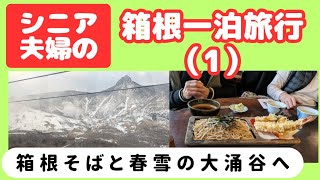 【シニア夫婦の箱根一泊旅行①】前日の雪で真っ白な大涌谷が絶景でした。