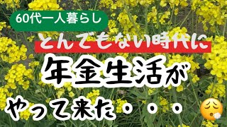 [シニアライフ]年金生活一人暮らしの日常／家庭菜園の野菜で食費を減らしたい