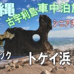 シニア夫婦と犬1匹が自作キャンピングシェルで行く沖縄一周車中泊旅行記 8 古宇利島ハートロックトケイ浜 ポットホール