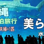 シニア夫婦と犬1匹が自作キャンピングシェルで行く沖縄一周車中泊旅行記12美ら海水族館と海洋博公園の魅力
