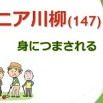 【クスと笑えない、身につまされる、シニア川柳(147) 】修学旅行生と外国人ツアーでにぎわう奈良法隆寺を訪れた。東大門から護摩堂を見ながら歩く。#ユネスコ世界文化遺産#日本最古木造建築#聖徳太子