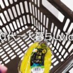 【シニアライフ】フルタイムで働く60代アパートひとり暮らし/物価高での買い物/1日の食費は？　#248