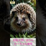 松阪市 シニア向けスマホ活用教室 アプリで簡単に動画作れる 80代女性 #shorts