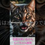 松阪市 シニアスマホ教室 簡単動画作成 初心者向けAI活用 高齢者参加 #shorts